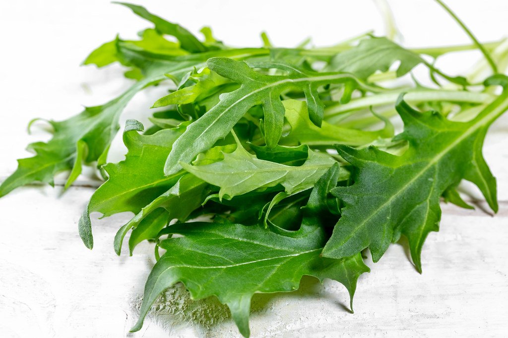 Fresh Arugula