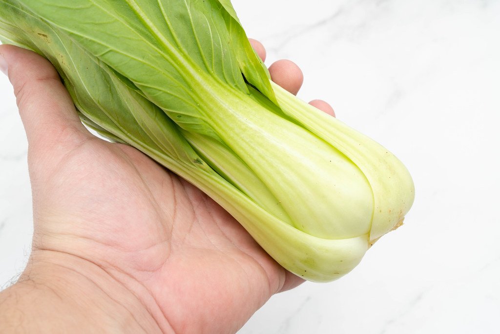 Bok Choy in Hand