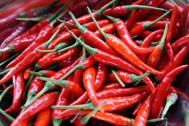 Pile of Hot Peppers