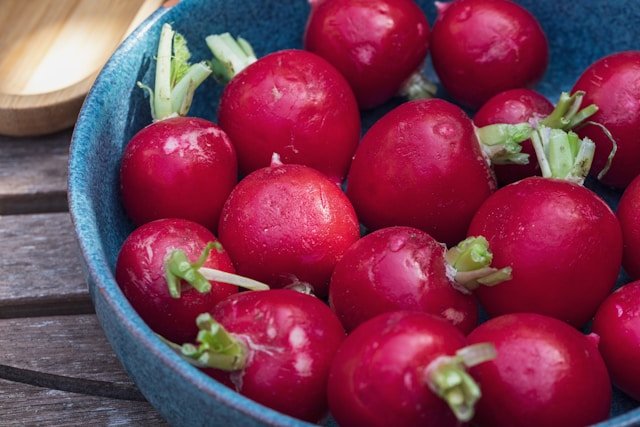 Radishes in a Bowl