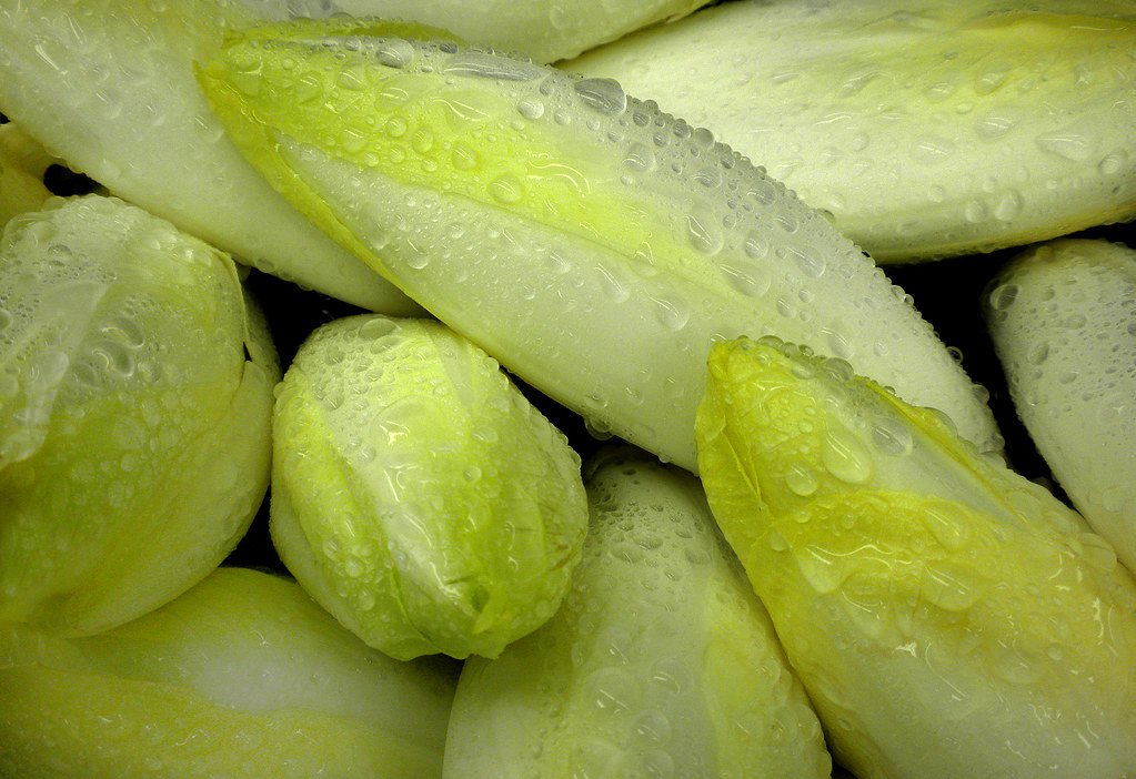 Endive Vegetable