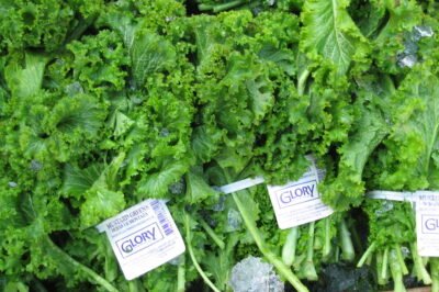 Mustard Greens Hydroponic Indoor Guide: Step-by-Step Grow Tent Kit Tips, Problems & Solutions