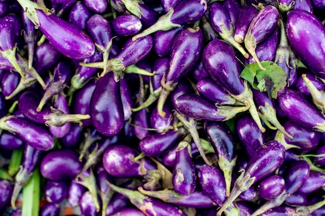 Pile of Purple Eggplants