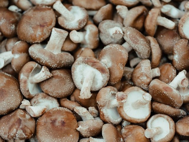 Shiitake Mushrooms