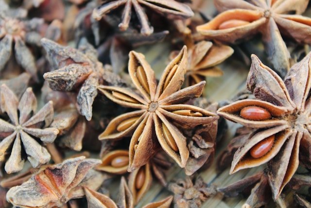 Star Anise Spice Plant