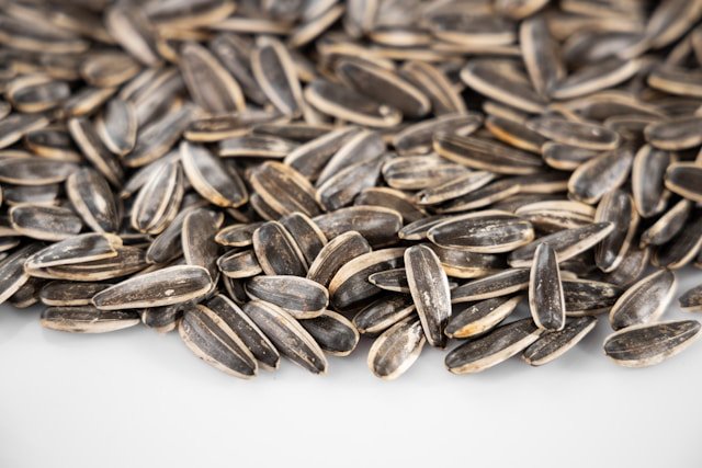 Sunflower Microgreen Seeds