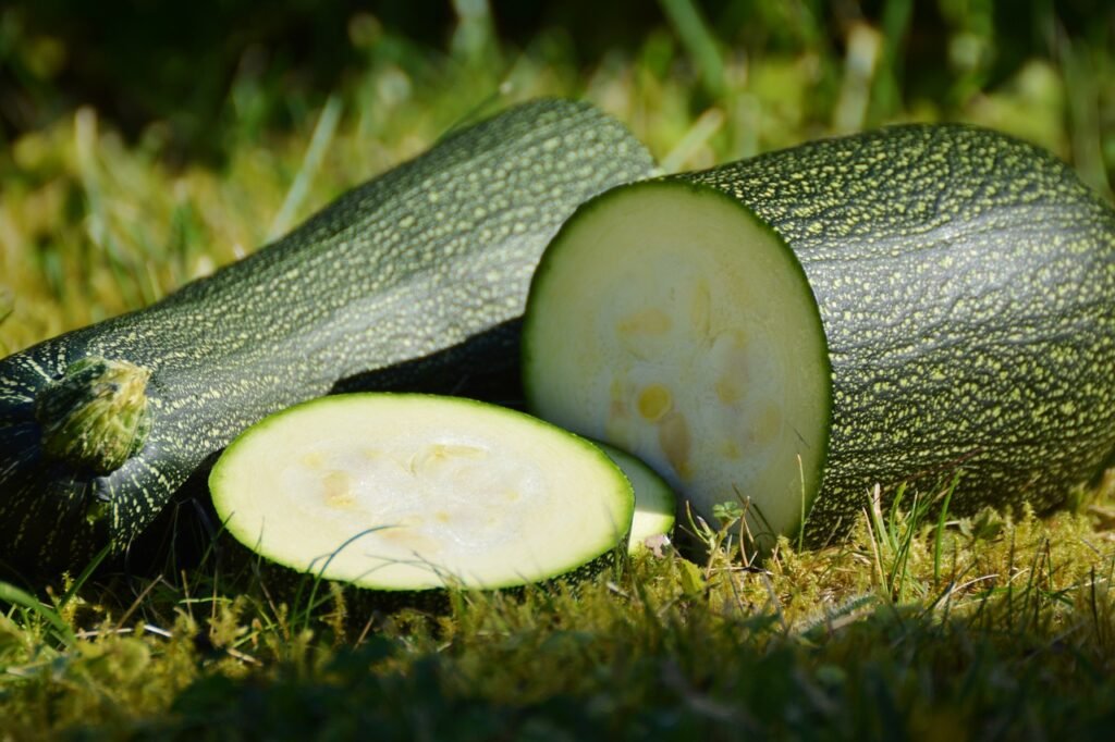 Sliced Zucchini