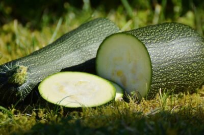 Indoor Hydroponic Zucchini: Beginner’s Guide, Assembly Tips, Problems & Solutions