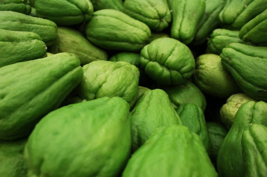 Fresh Green Chayote