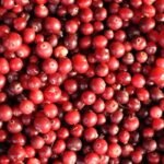 Red Cranberries