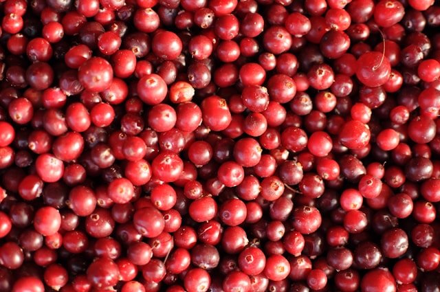 Red Cranberries